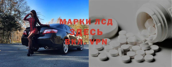 индика Сосновоборск