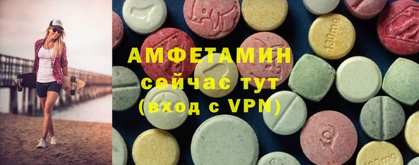 индика Сосновоборск