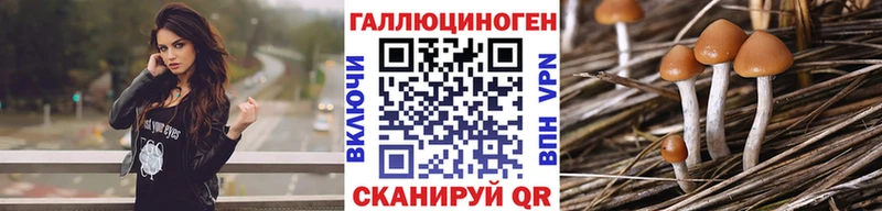 Галлюциногенные грибы Psilocybine cubensis  продажа наркотиков  Шатура 